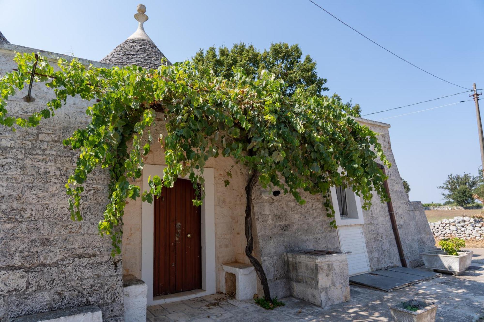 Trullo Vacanze Di Cumma Rosa Alberobello Exterior photo